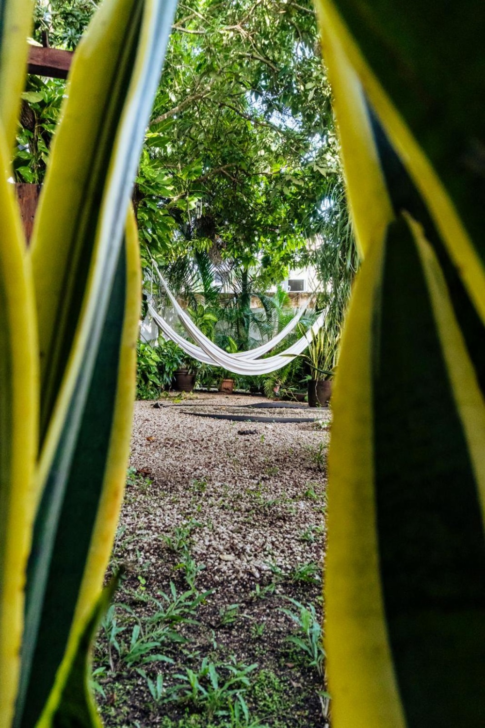 Hotel Brisas Bacalar Main image