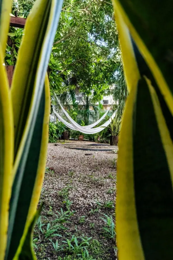 Hotel Brisas Bacalar Main image
