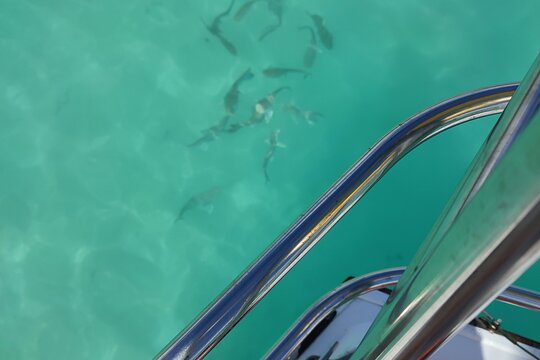 Tour image 11